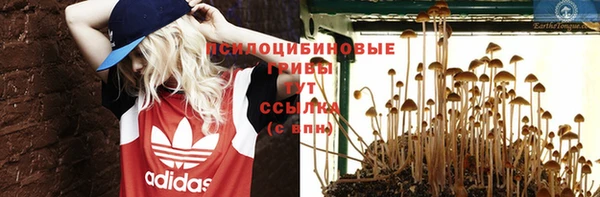 spice Алзамай