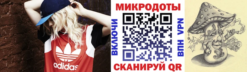 Галлюциногенные грибы Psilocybe Лахденпохья